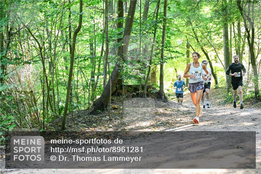 28.09.2025 - 33. Volkslauf durch das schöne Alstertal Dr. Thomas Lammeyer http://msf.ph/oto/8961281 28.09.2025 11:06:51 Laufen 285 meine-sportfotos.de