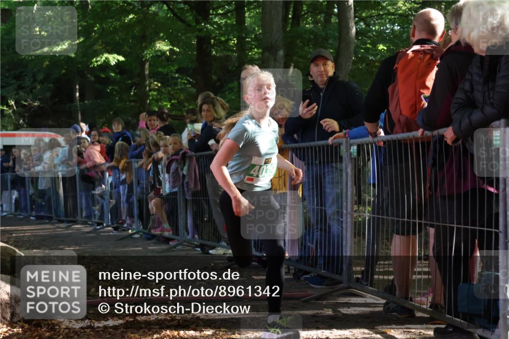 28.09.2025 - 33. Volkslauf durch das schöne Alstertal Strokosch-Dieckow http://msf.ph/oto/8961342 28.09.2025 10:53:46 Ziel 4039, 4115 meine-sportfotos.de