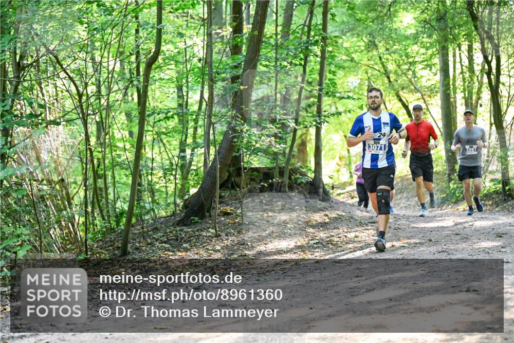 28.09.2025 - 33. Volkslauf durch das schöne Alstertal Dr. Thomas Lammeyer http://msf.ph/oto/8961360 28.09.2025 11:07:00 Laufen 24, 3071, 3287 meine-sportfotos.de
