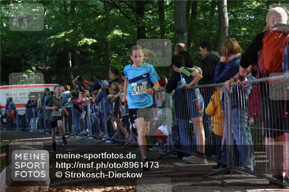 28.09.2025 - 33. Volkslauf durch das schöne Alstertal Strokosch-Dieckow http://msf.ph/oto/8961473 28.09.2025 10:55:01 Ziel 4040, 4047, 4188 meine-sportfotos.de