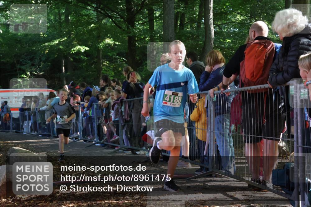 28.09.2025 - 33. Volkslauf durch das schöne Alstertal Strokosch-Dieckow http://msf.ph/oto/8961475 28.09.2025 10:55:02 Ziel 4040, 4047, 4188 meine-sportfotos.de