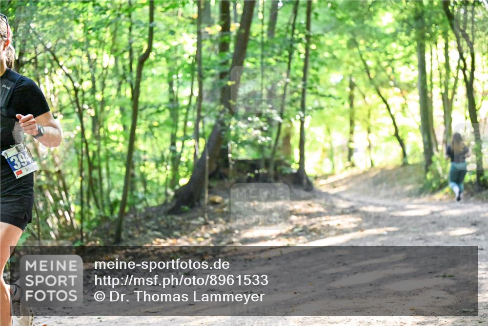 28.09.2025 - 33. Volkslauf durch das schöne Alstertal Dr. Thomas Lammeyer http://msf.ph/oto/8961533 28.09.2025 11:07:27 Laufen 3, 94 meine-sportfotos.de