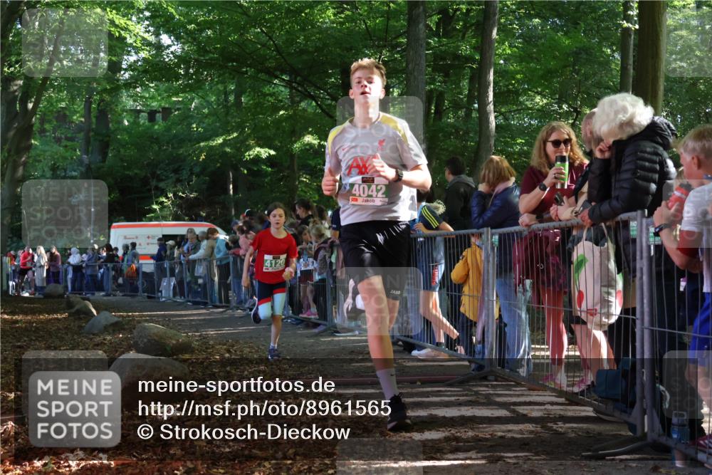 28.09.2025 - 33. Volkslauf durch das schöne Alstertal Strokosch-Dieckow http://msf.ph/oto/8961565 28.09.2025 10:55:27 Ziel 4042, 4046, 4120 meine-sportfotos.de