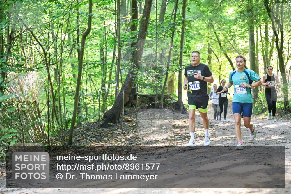 28.09.2025 - 33. Volkslauf durch das schöne Alstertal Dr. Thomas Lammeyer http://msf.ph/oto/8961577 28.09.2025 11:07:44 Laufen 3118, 15, 3319 meine-sportfotos.de