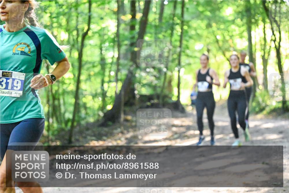 28.09.2025 - 33. Volkslauf durch das schöne Alstertal Dr. Thomas Lammeyer http://msf.ph/oto/8961588 28.09.2025 11:07:47 Laufen 2014, 319 meine-sportfotos.de