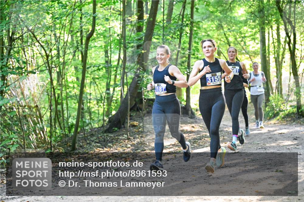 28.09.2025 - 33. Volkslauf durch das schöne Alstertal Dr. Thomas Lammeyer http://msf.ph/oto/8961593 28.09.2025 11:07:47 Laufen 3187, 3155, 81 meine-sportfotos.de