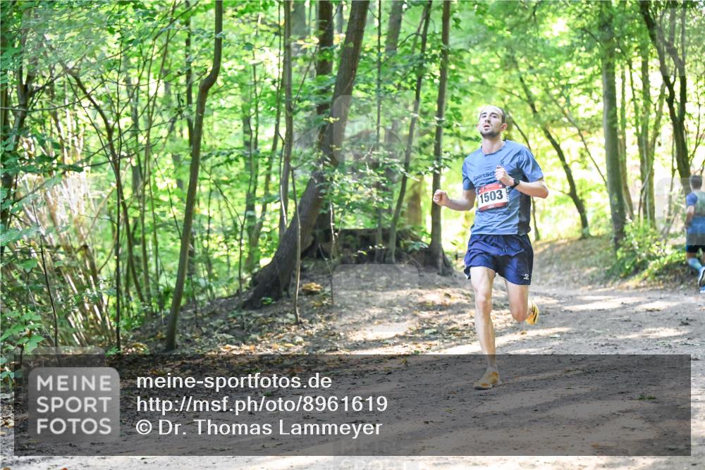 28.09.2025 - 33. Volkslauf durch das schöne Alstertal Dr. Thomas Lammeyer http://msf.ph/oto/8961619 28.09.2025 11:07:51 Laufen 1503 meine-sportfotos.de