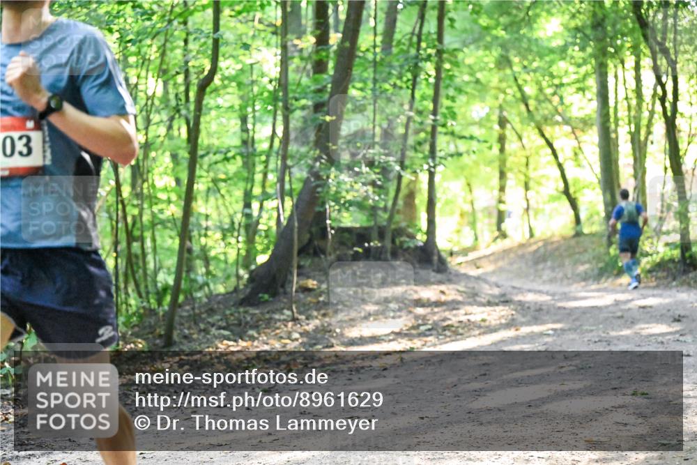 28.09.2025 - 33. Volkslauf durch das schöne Alstertal Dr. Thomas Lammeyer http://msf.ph/oto/8961629 28.09.2025 11:07:53 Laufen 03, 27 meine-sportfotos.de