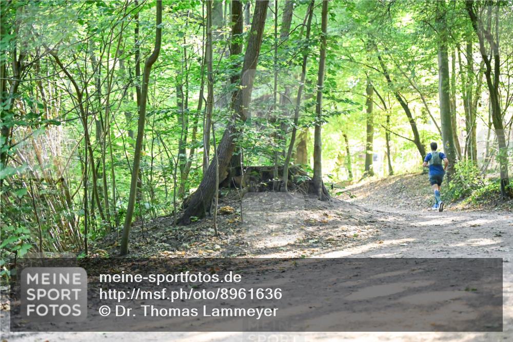 28.09.2025 - 33. Volkslauf durch das schöne Alstertal Dr. Thomas Lammeyer http://msf.ph/oto/8961636 28.09.2025 11:07:53 Laufen  meine-sportfotos.de