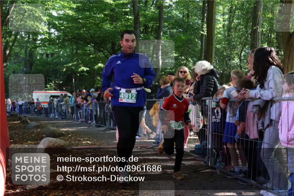 28.09.2025 - 33. Volkslauf durch das schöne Alstertal Strokosch-Dieckow http://msf.ph/oto/8961686 28.09.2025 10:56:09 Ziel 4079, 4911, 4912 meine-sportfotos.de