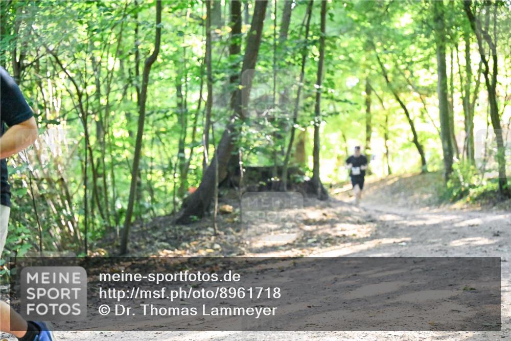 28.09.2025 - 33. Volkslauf durch das schöne Alstertal Dr. Thomas Lammeyer http://msf.ph/oto/8961718 28.09.2025 11:08:15 Laufen  meine-sportfotos.de