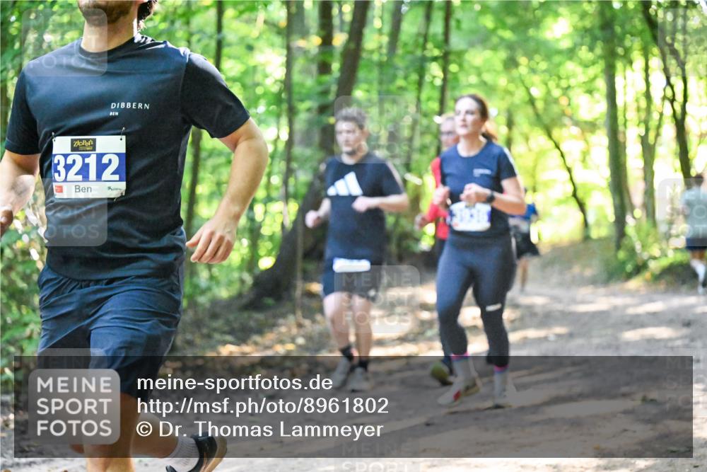 28.09.2025 - 33. Volkslauf durch das schöne Alstertal Dr. Thomas Lammeyer http://msf.ph/oto/8961802 28.09.2025 11:08:33 Laufen 3212 meine-sportfotos.de