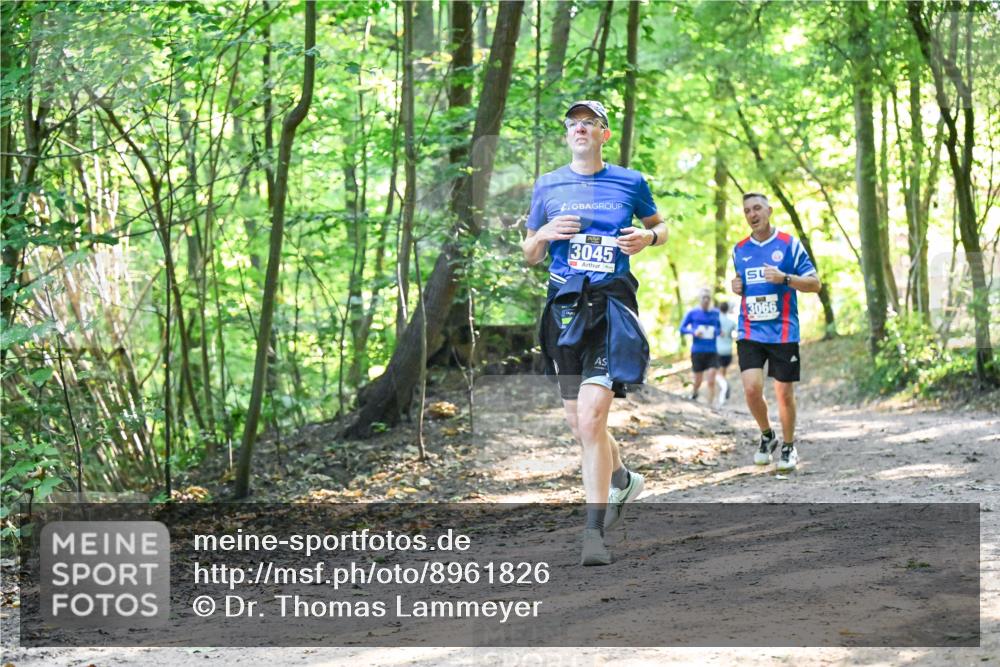 28.09.2025 - 33. Volkslauf durch das schöne Alstertal Dr. Thomas Lammeyer http://msf.ph/oto/8961826 28.09.2025 11:08:38 Laufen 3045, 3066 meine-sportfotos.de
