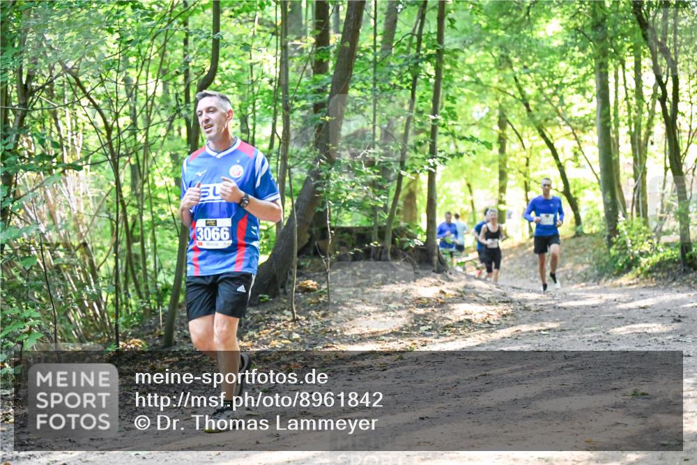28.09.2025 - 33. Volkslauf durch das schöne Alstertal Dr. Thomas Lammeyer http://msf.ph/oto/8961842 28.09.2025 11:08:40 Laufen 3066 meine-sportfotos.de