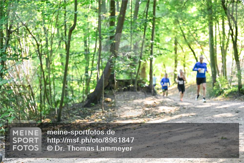 28.09.2025 - 33. Volkslauf durch das schöne Alstertal Dr. Thomas Lammeyer http://msf.ph/oto/8961847 28.09.2025 11:08:40 Laufen  meine-sportfotos.de