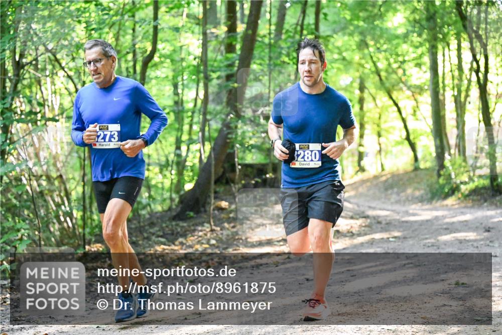 28.09.2025 - 33. Volkslauf durch das schöne Alstertal Dr. Thomas Lammeyer http://msf.ph/oto/8961875 28.09.2025 11:08:48 Laufen 273, 280 meine-sportfotos.de