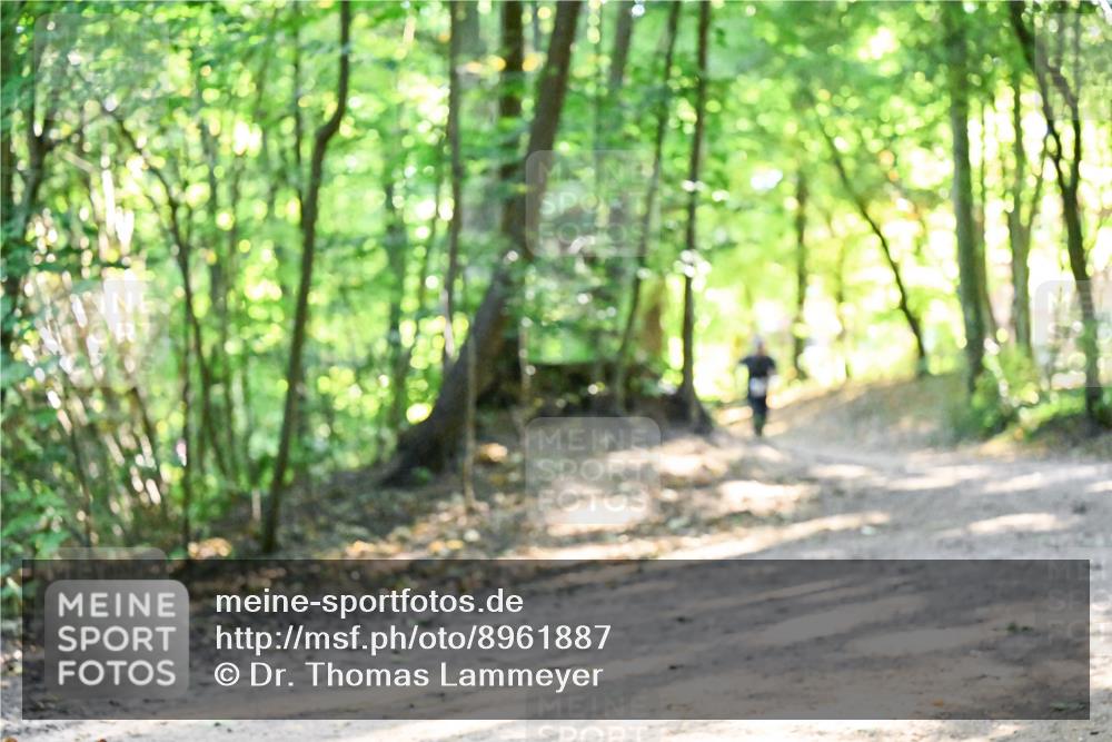 28.09.2025 - 33. Volkslauf durch das schöne Alstertal Dr. Thomas Lammeyer http://msf.ph/oto/8961887 28.09.2025 11:08:49 Laufen  meine-sportfotos.de