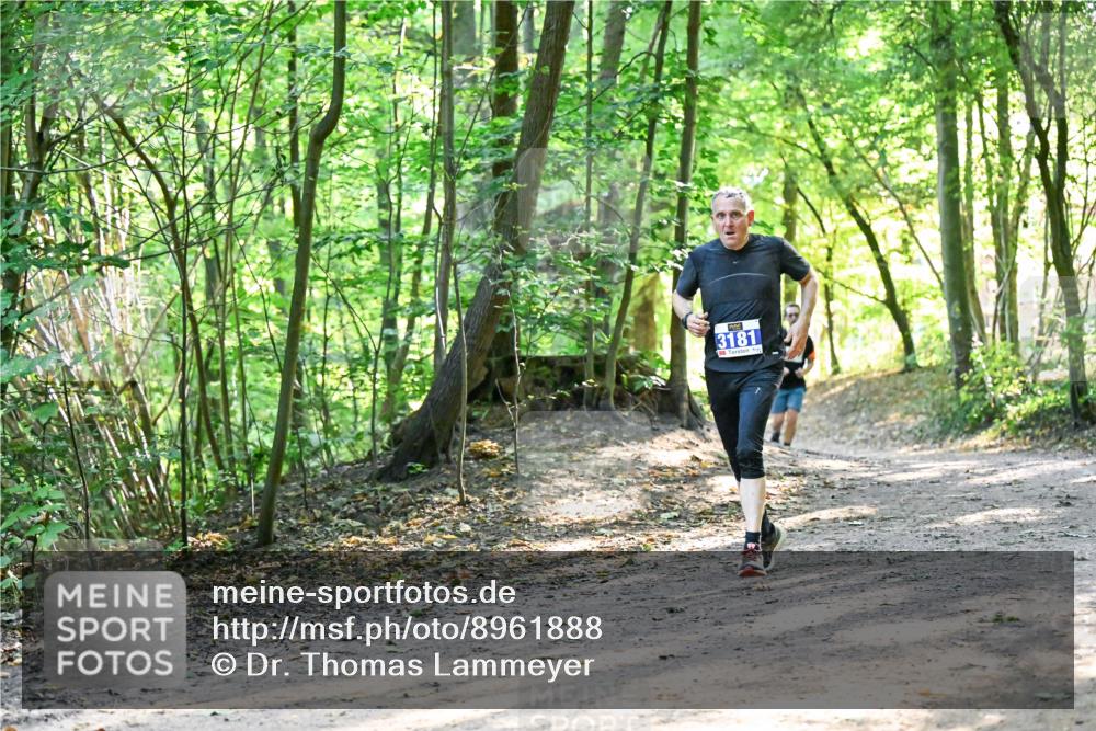 28.09.2025 - 33. Volkslauf durch das schöne Alstertal Dr. Thomas Lammeyer http://msf.ph/oto/8961888 28.09.2025 11:08:56 Laufen 3181 meine-sportfotos.de