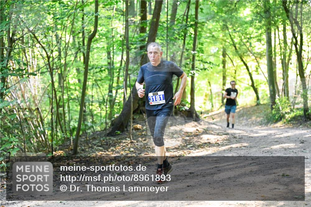 28.09.2025 - 33. Volkslauf durch das schöne Alstertal Dr. Thomas Lammeyer http://msf.ph/oto/8961893 28.09.2025 11:08:56 Laufen 3181 meine-sportfotos.de