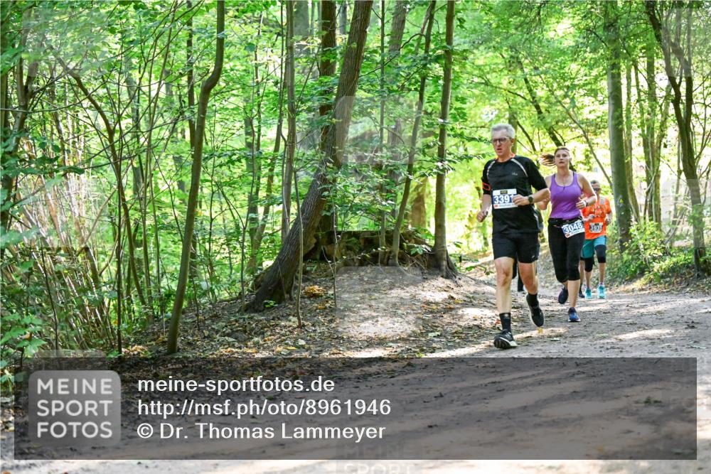 28.09.2025 - 33. Volkslauf durch das schöne Alstertal Dr. Thomas Lammeyer http://msf.ph/oto/8961946 28.09.2025 11:09:13 Laufen 3391, 3048, 3935 meine-sportfotos.de
