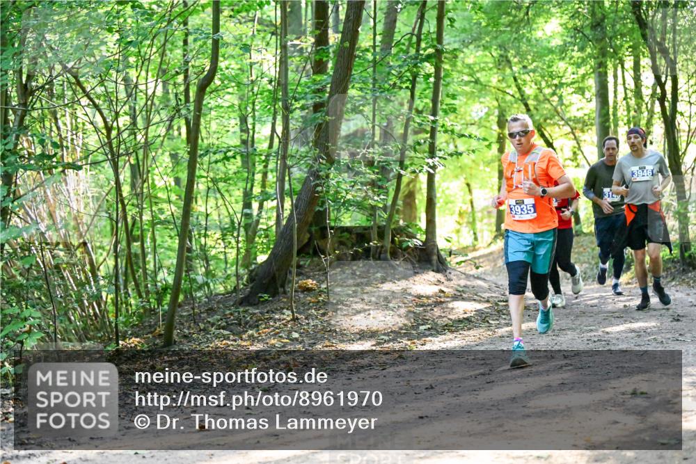 28.09.2025 - 33. Volkslauf durch das schöne Alstertal Dr. Thomas Lammeyer http://msf.ph/oto/8961970 28.09.2025 11:09:16 Laufen 3935, 314, 3946 meine-sportfotos.de