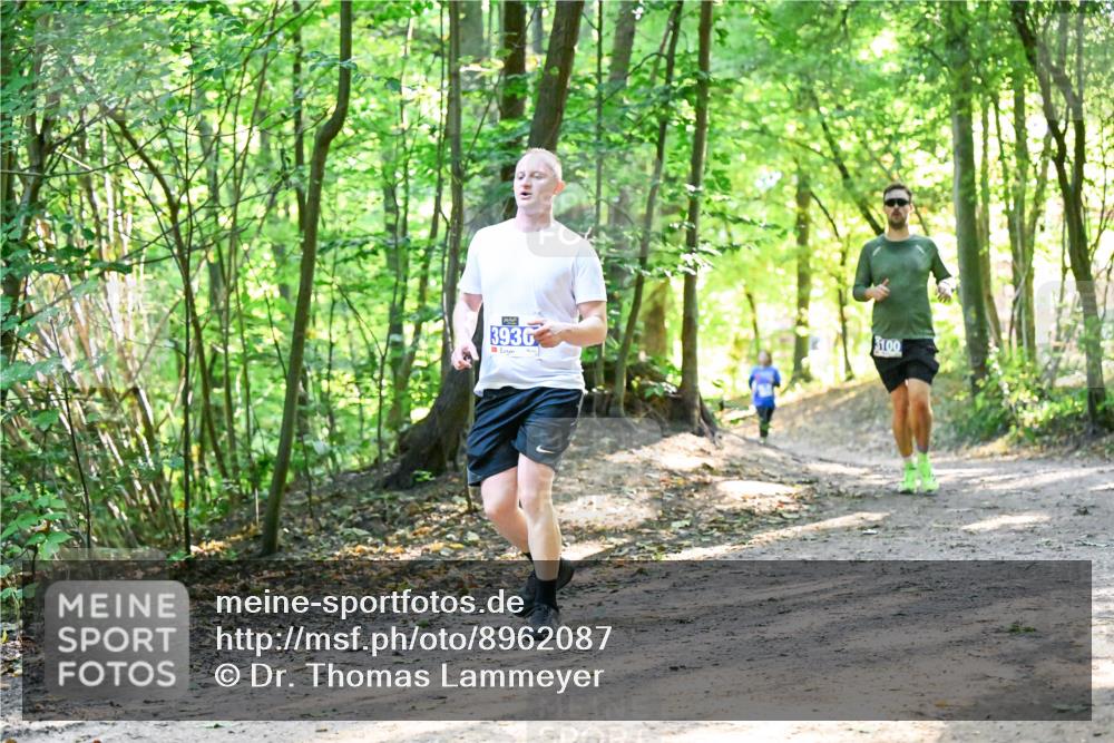 28.09.2025 - 33. Volkslauf durch das schöne Alstertal Dr. Thomas Lammeyer http://msf.ph/oto/8962087 28.09.2025 11:09:46 Laufen 3936, 100 meine-sportfotos.de