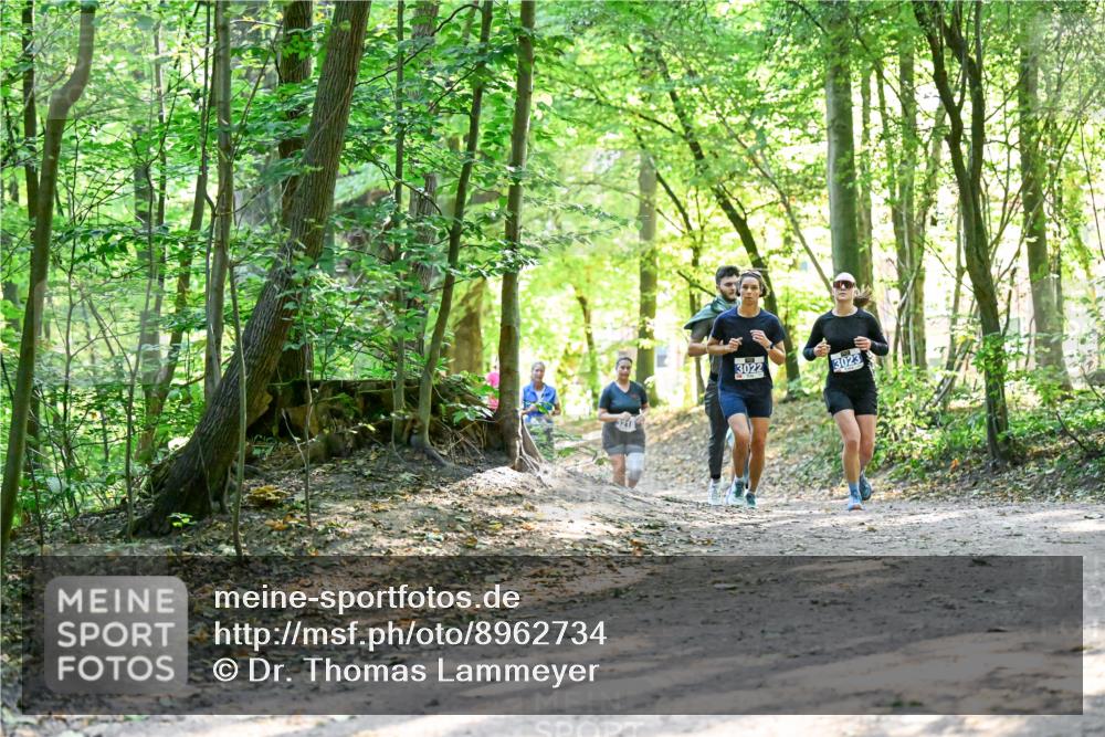 28.09.2025 - 33. Volkslauf durch das schöne Alstertal Dr. Thomas Lammeyer http://msf.ph/oto/8962734 28.09.2025 11:12:27 Laufen 3218, 3022, 3023 meine-sportfotos.de