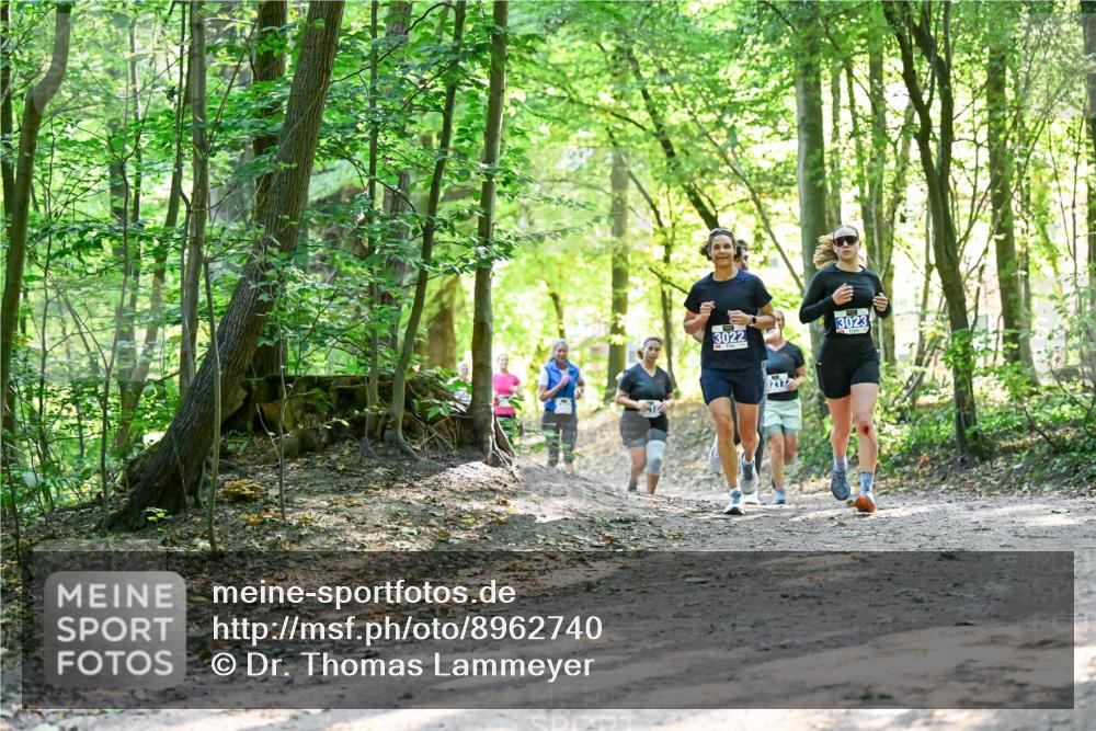 28.09.2025 - 33. Volkslauf durch das schöne Alstertal Dr. Thomas Lammeyer http://msf.ph/oto/8962740 28.09.2025 11:12:28 Laufen 3022, 3023 meine-sportfotos.de