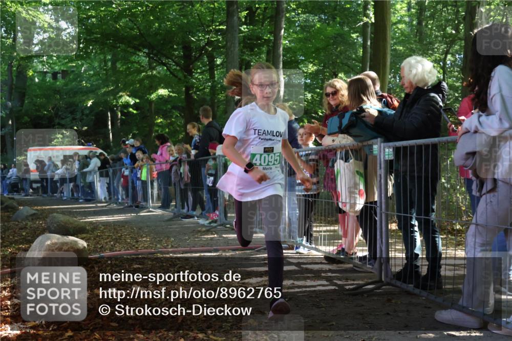 28.09.2025 - 33. Volkslauf durch das schöne Alstertal Strokosch-Dieckow http://msf.ph/oto/8962765 28.09.2025 10:58:45 Ziel 4095 meine-sportfotos.de
