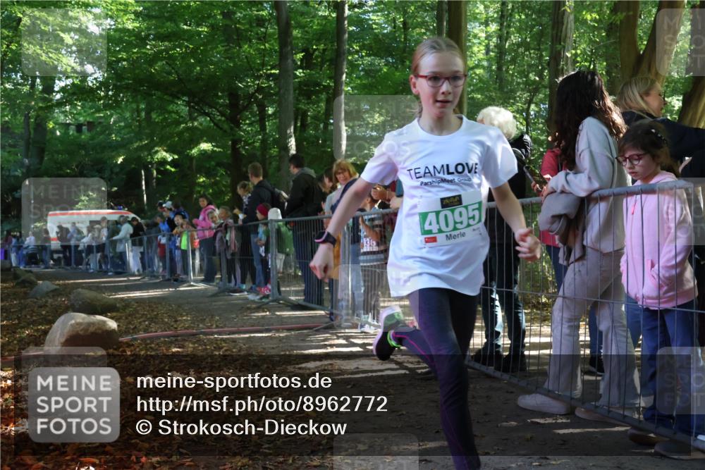 28.09.2025 - 33. Volkslauf durch das schöne Alstertal Strokosch-Dieckow http://msf.ph/oto/8962772 28.09.2025 10:58:45 Ziel 4095 meine-sportfotos.de