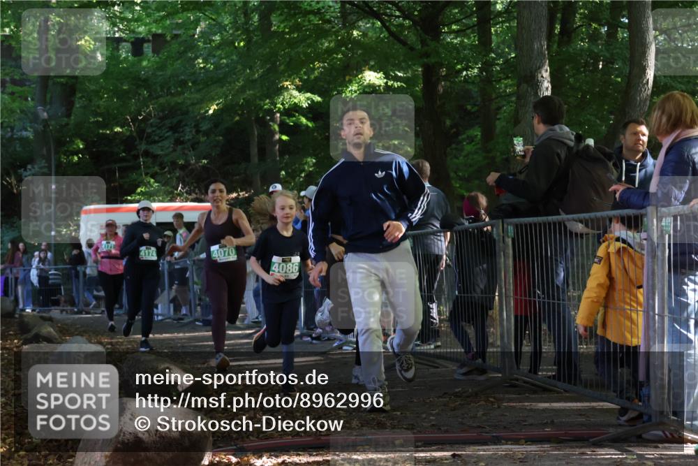 28.09.2025 - 33. Volkslauf durch das schöne Alstertal Strokosch-Dieckow http://msf.ph/oto/8962996 28.09.2025 11:01:11 Ziel 4070, 4086, 4171, 4174, 4178, 4179 meine-sportfotos.de