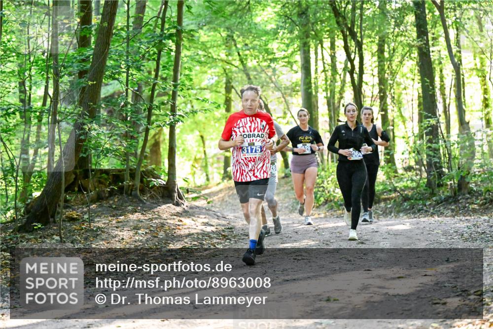 28.09.2025 - 33. Volkslauf durch das schöne Alstertal Dr. Thomas Lammeyer http://msf.ph/oto/8963008 28.09.2025 11:13:20 Laufen 3175 meine-sportfotos.de