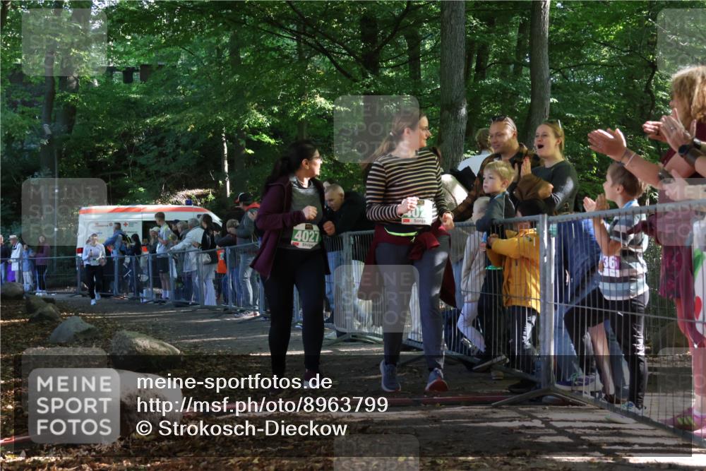 28.09.2025 - 33. Volkslauf durch das schöne Alstertal Strokosch-Dieckow http://msf.ph/oto/8963799 28.09.2025 11:08:33 Ziel 4026, 4027, 4068 meine-sportfotos.de