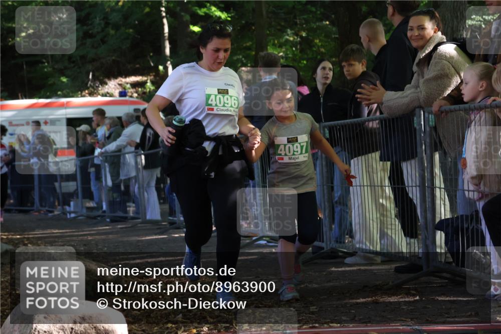 28.09.2025 - 33. Volkslauf durch das schöne Alstertal Strokosch-Dieckow http://msf.ph/oto/8963900 28.09.2025 11:09:11 Ziel 4037, 4096, 4097 meine-sportfotos.de