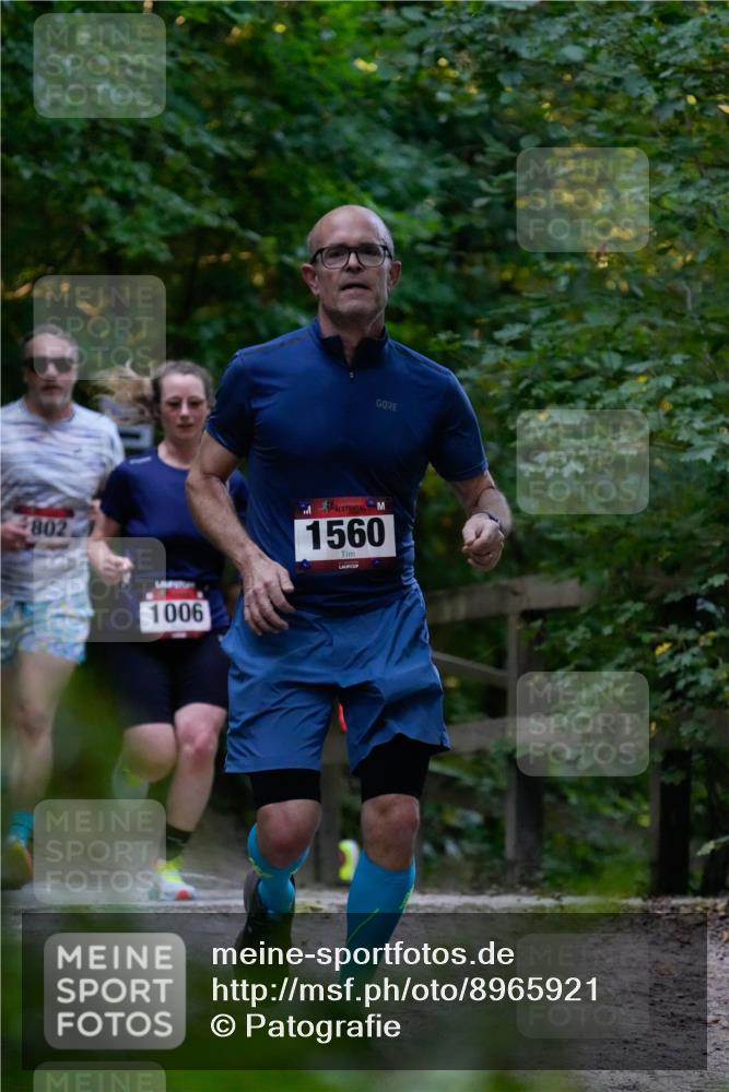 28.09.2025 - 33. Volkslauf durch das schöne Alstertal Patografie http://msf.ph/oto/8965921 28.09.2025 09:11:50 Laufen 4802, 1006, 1560 meine-sportfotos.de