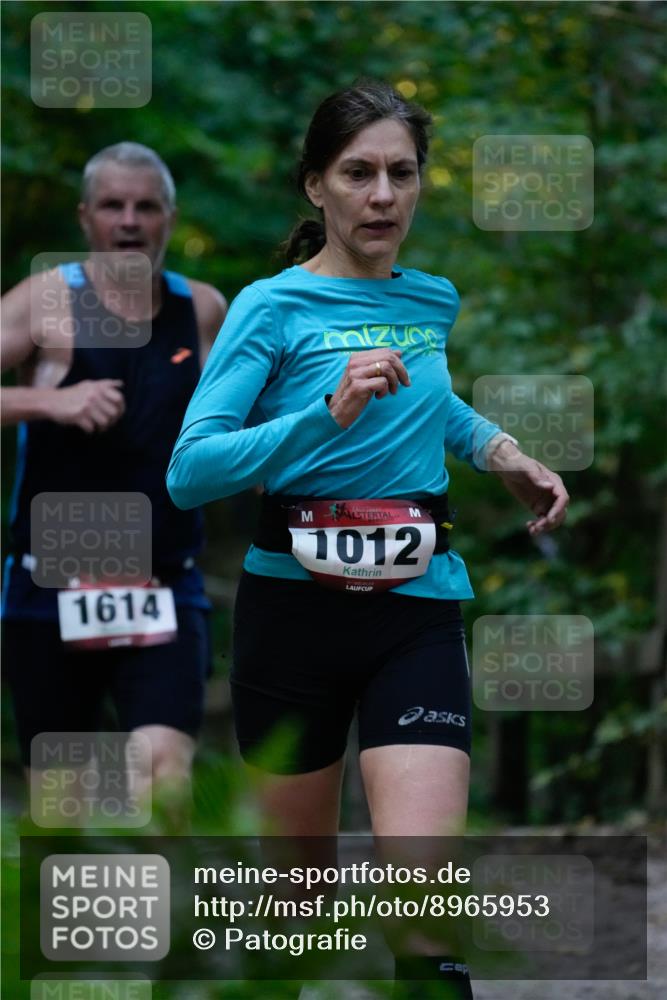 28.09.2025 - 33. Volkslauf durch das schöne Alstertal Patografie http://msf.ph/oto/8965953 28.09.2025 09:13:44 Laufen 1614, 1012 meine-sportfotos.de