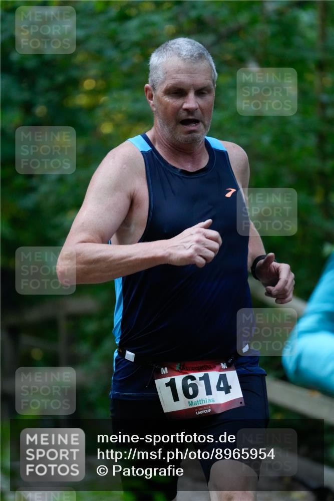 28.09.2025 - 33. Volkslauf durch das schöne Alstertal Patografie http://msf.ph/oto/8965954 28.09.2025 09:13:45 Laufen 1614 meine-sportfotos.de