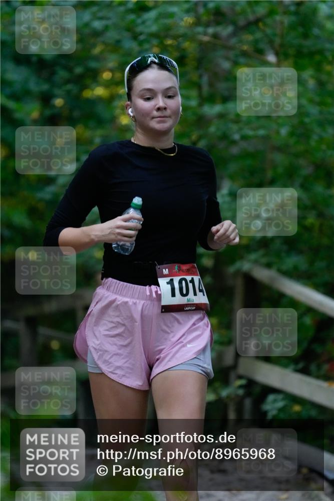 28.09.2025 - 33. Volkslauf durch das schöne Alstertal Patografie http://msf.ph/oto/8965968 28.09.2025 09:14:19 Laufen 1014 meine-sportfotos.de