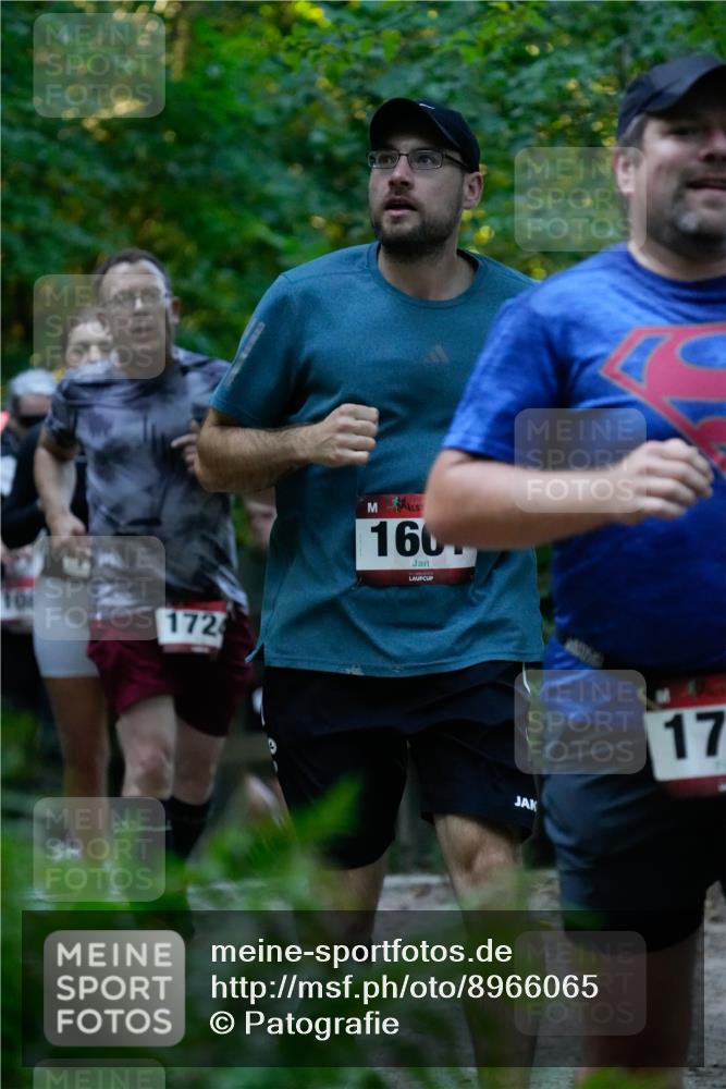 28.09.2025 - 33. Volkslauf durch das schöne Alstertal Patografie http://msf.ph/oto/8966065 28.09.2025 09:18:13 Laufen 108, 172, 1601, 17 meine-sportfotos.de