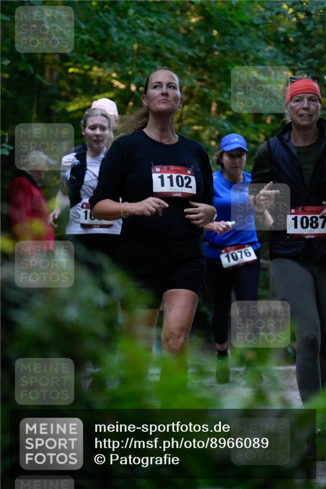 28.09.2025 - 33. Volkslauf durch das schöne Alstertal Patografie http://msf.ph/oto/8966089 28.09.2025 09:19:21 Laufen 1102, 1076, 1087 meine-sportfotos.de