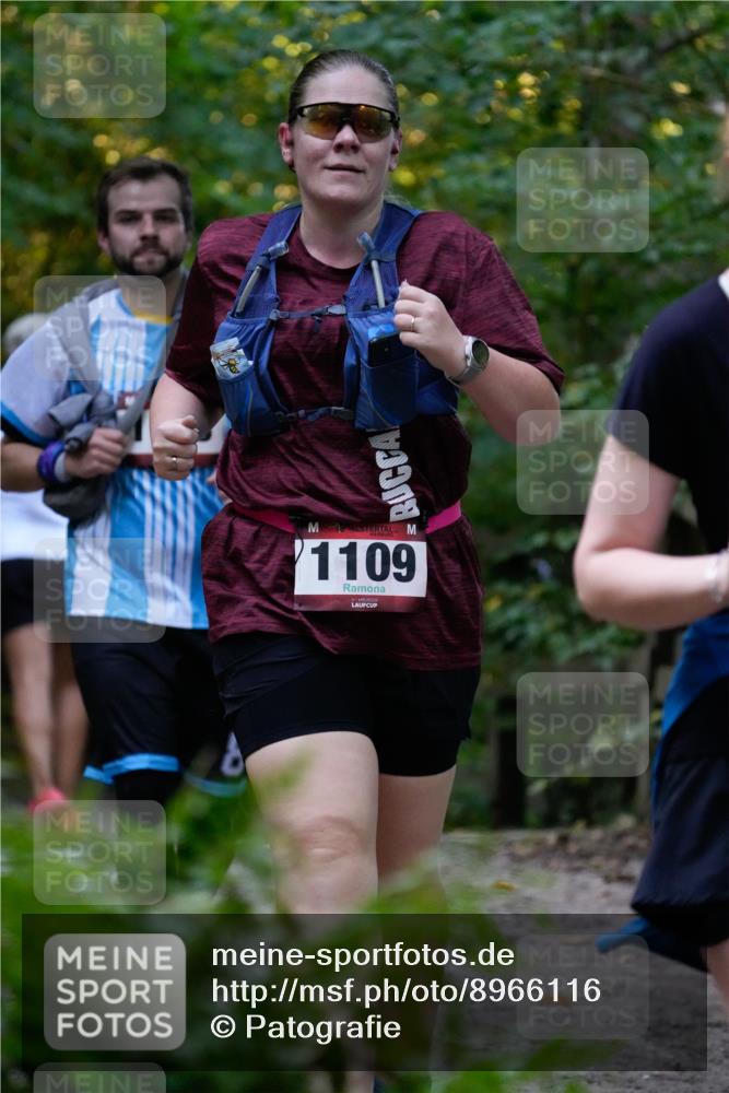 28.09.2025 - 33. Volkslauf durch das schöne Alstertal Patografie http://msf.ph/oto/8966116 28.09.2025 09:22:23 Laufen 1109 meine-sportfotos.de