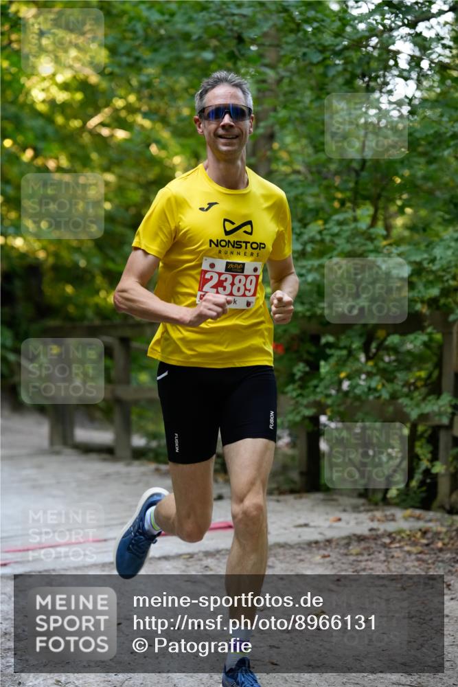 28.09.2025 - 33. Volkslauf durch das schöne Alstertal Patografie http://msf.ph/oto/8966131 28.09.2025 09:27:46 Laufen 2389 meine-sportfotos.de
