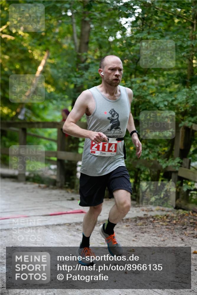 28.09.2025 - 33. Volkslauf durch das schöne Alstertal Patografie http://msf.ph/oto/8966135 28.09.2025 09:28:31 Laufen 2114 meine-sportfotos.de