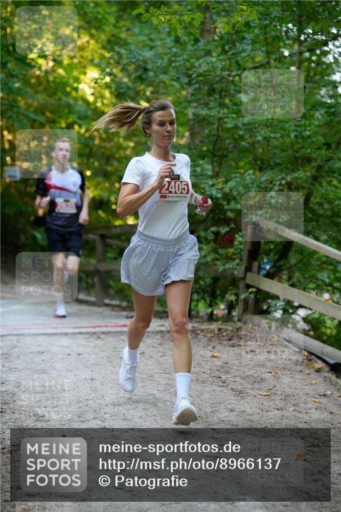 28.09.2025 - 33. Volkslauf durch das schöne Alstertal Patografie http://msf.ph/oto/8966137 28.09.2025 09:29:17 Laufen 2405 meine-sportfotos.de