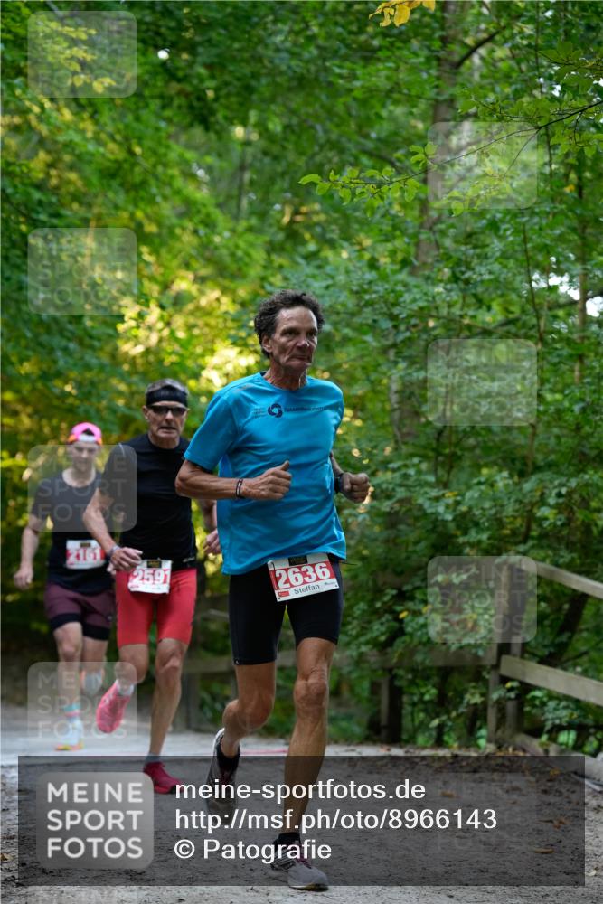 28.09.2025 - 33. Volkslauf durch das schöne Alstertal Patografie http://msf.ph/oto/8966143 28.09.2025 09:29:33 Laufen 2591, 2636 meine-sportfotos.de