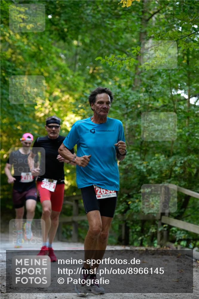28.09.2025 - 33. Volkslauf durch das schöne Alstertal Patografie http://msf.ph/oto/8966145 28.09.2025 09:29:33 Laufen 2591, 2636 meine-sportfotos.de