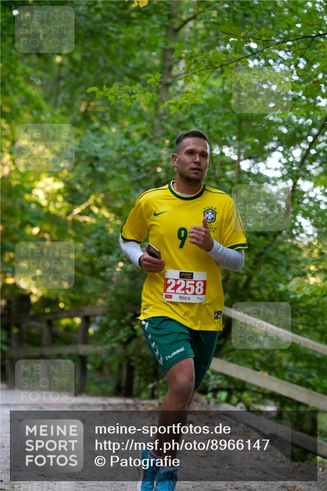 28.09.2025 - 33. Volkslauf durch das schöne Alstertal Patografie http://msf.ph/oto/8966147 28.09.2025 09:29:42 Laufen 821, 2258, 11 meine-sportfotos.de