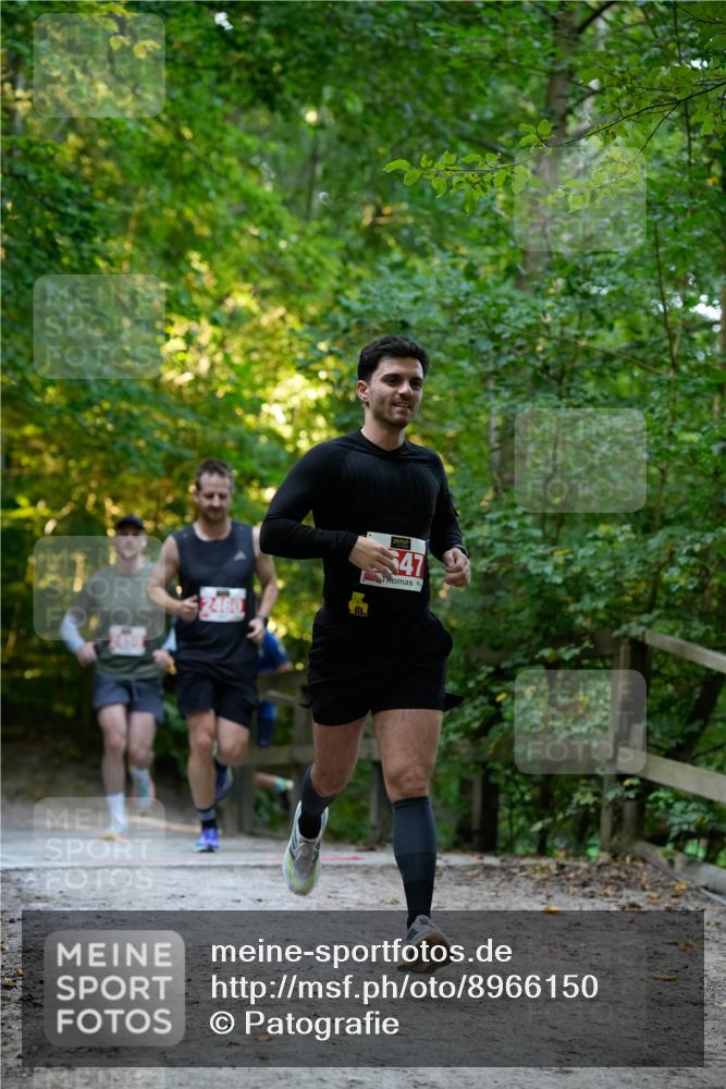 28.09.2025 - 33. Volkslauf durch das schöne Alstertal Patografie http://msf.ph/oto/8966150 28.09.2025 09:30:01 Laufen 2460, 2647 meine-sportfotos.de