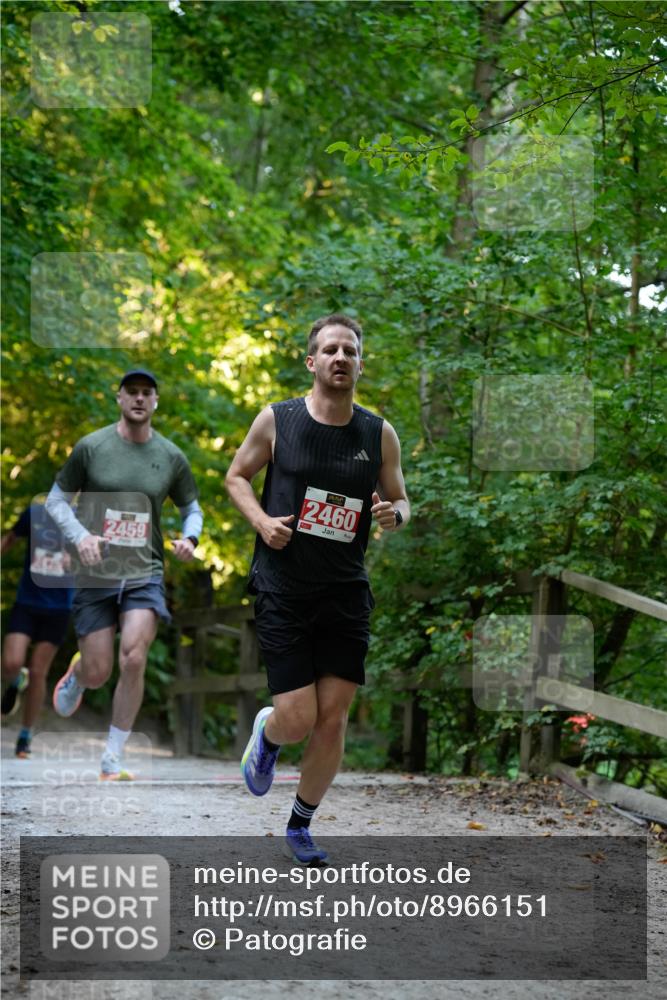 28.09.2025 - 33. Volkslauf durch das schöne Alstertal Patografie http://msf.ph/oto/8966151 28.09.2025 09:30:02 Laufen 2459, 2460, 1130, 1992 meine-sportfotos.de