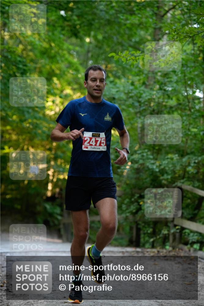 28.09.2025 - 33. Volkslauf durch das schöne Alstertal Patografie http://msf.ph/oto/8966156 28.09.2025 09:30:05 Laufen 2475 meine-sportfotos.de